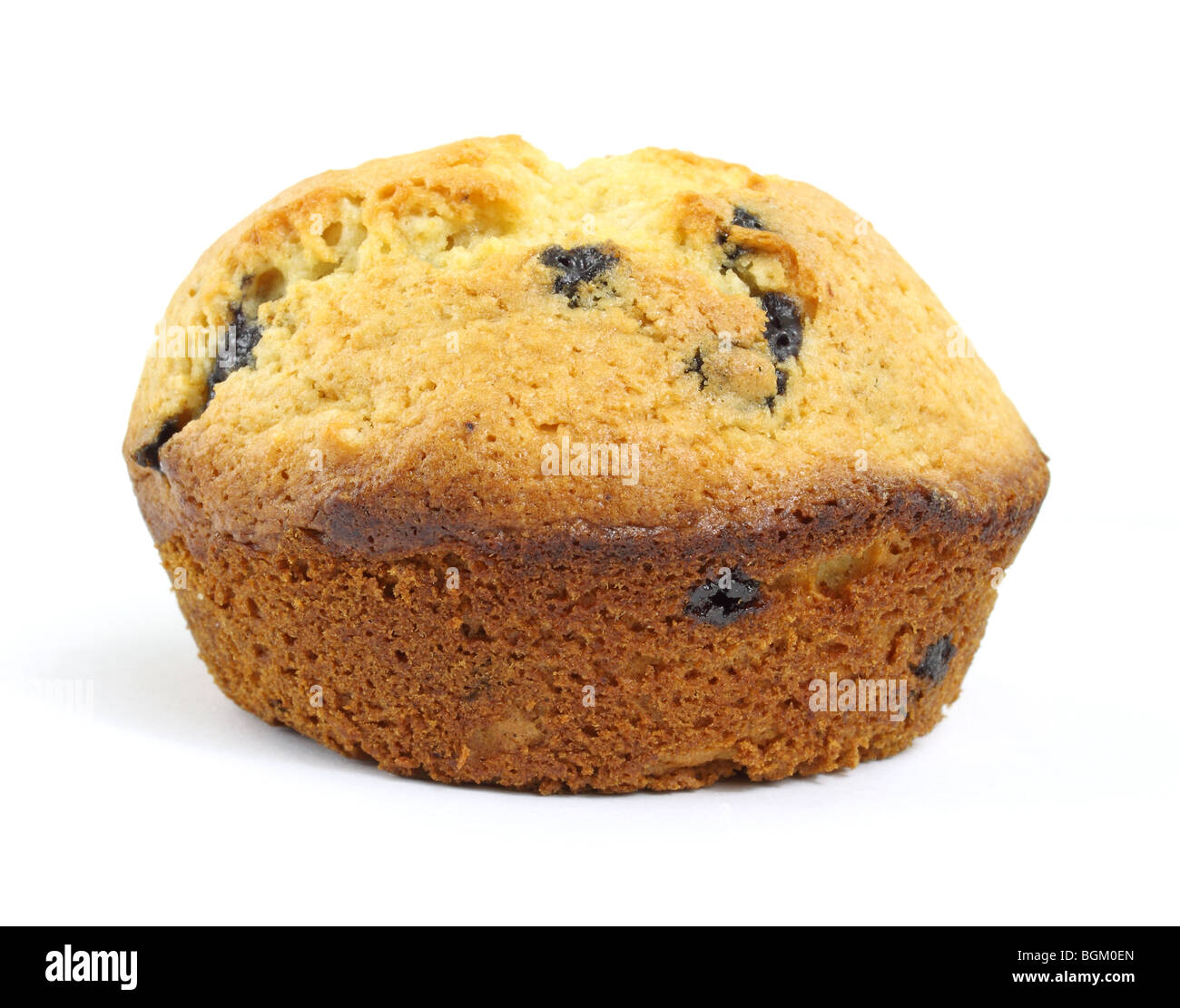 Single blueberry muffin Stock Photo