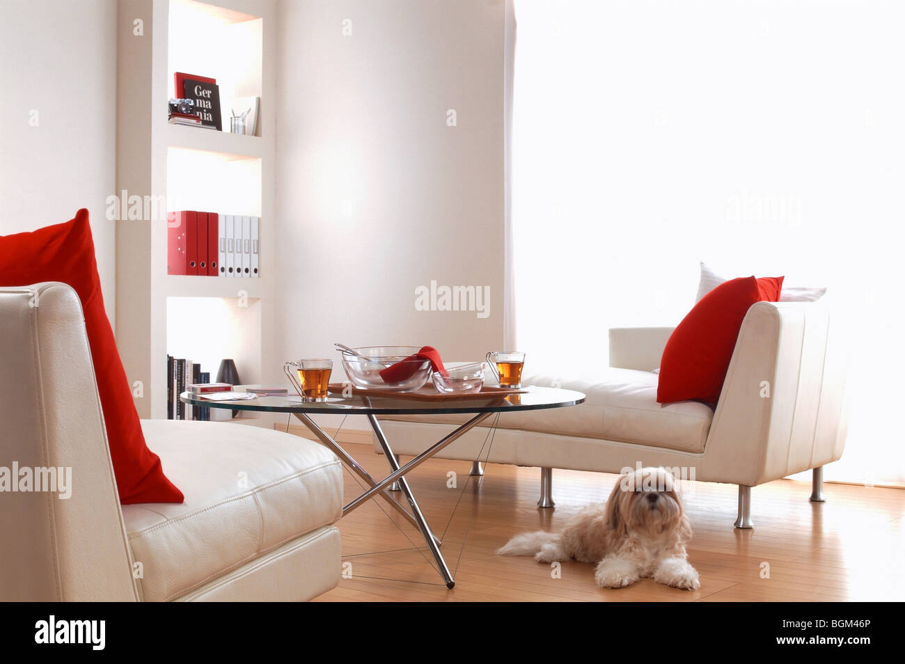 Furnished living room with dog Stock Photo Alamy