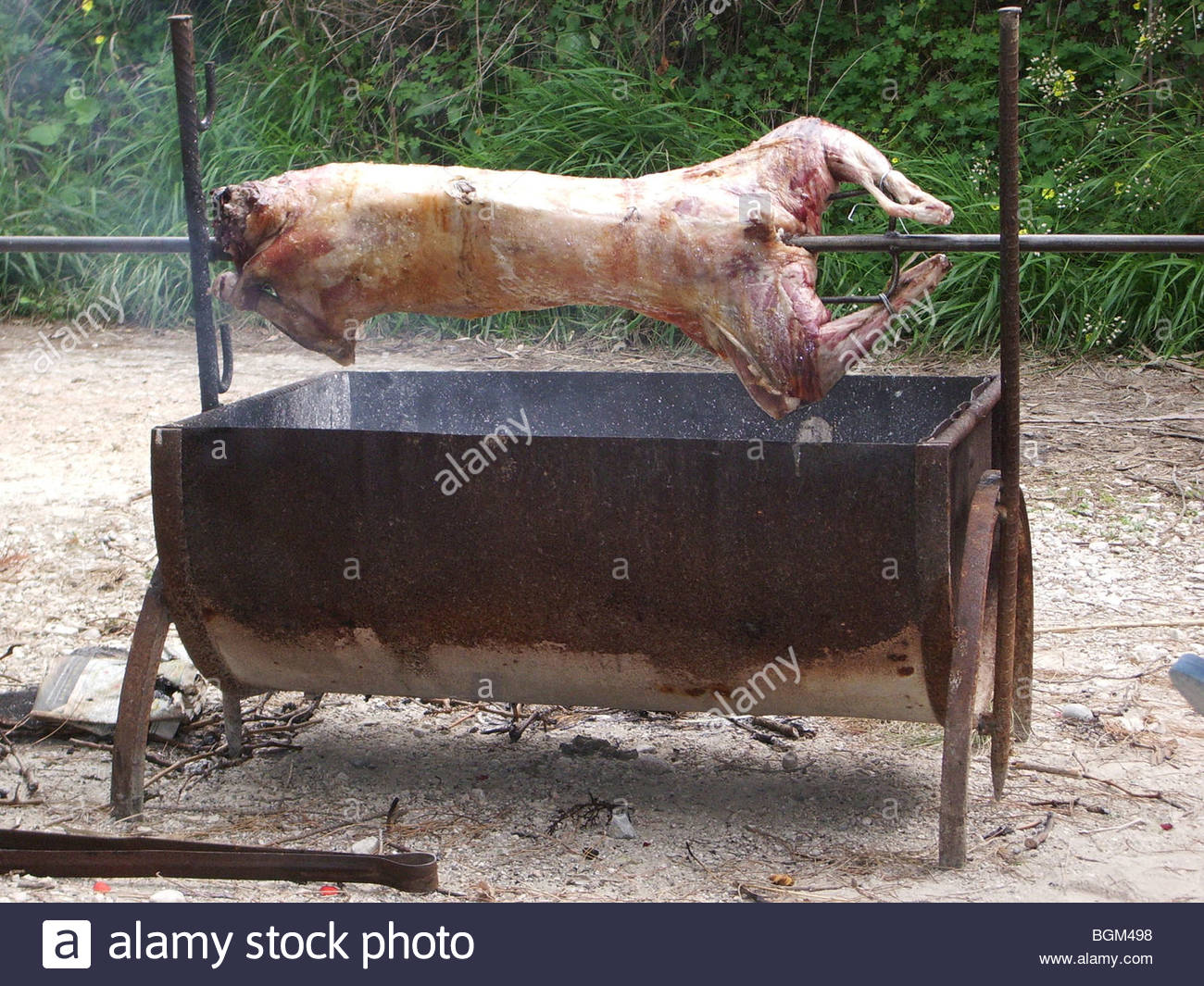 Spit Goats High Resolution Stock Photography and Images Alamy