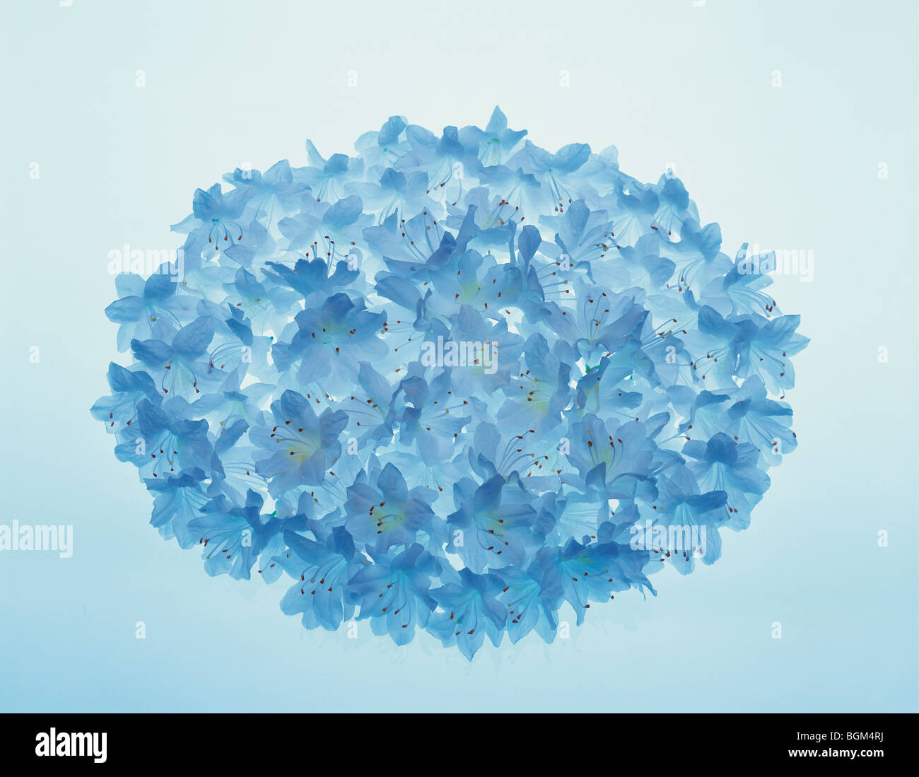 Arranged in a circle hi-res stock photography and images - Alamy