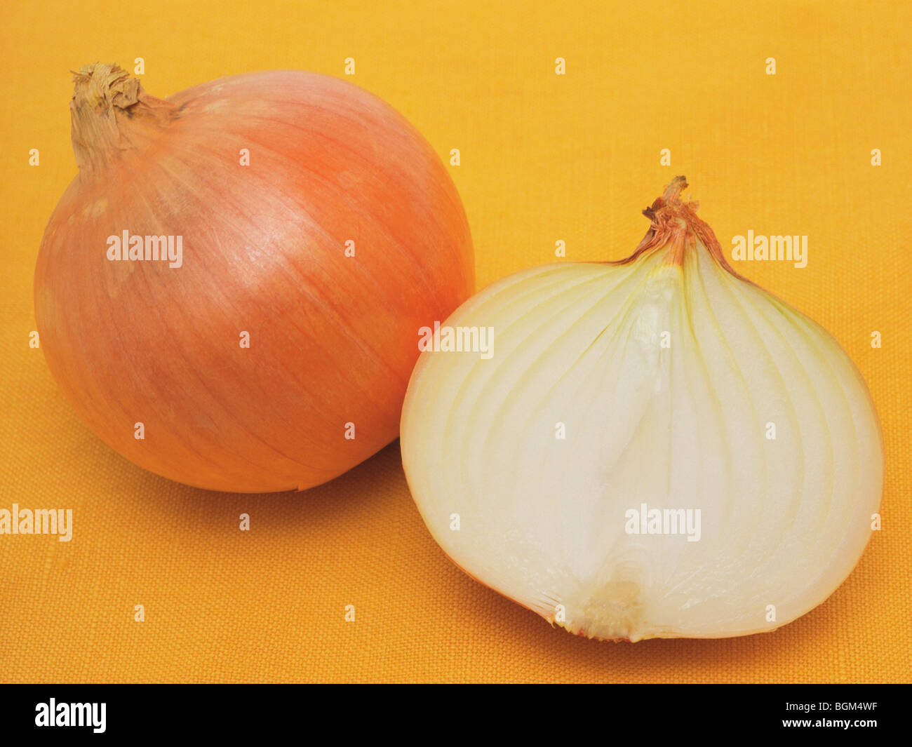 Cross section onion hi-res stock photography and images - Alamy