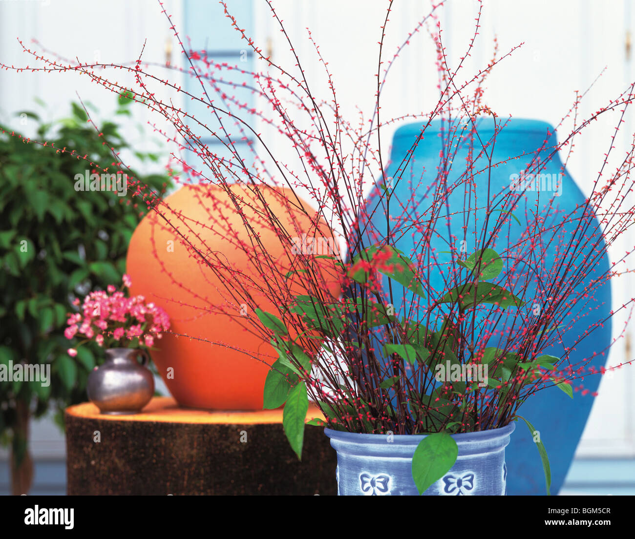 Flower pots and vases Stock Photo
