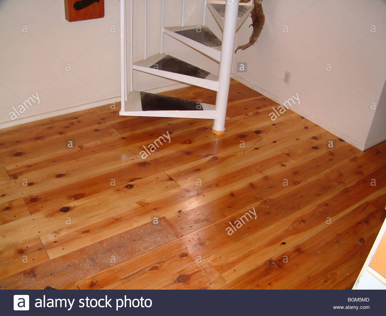 Newly Varnished Cedar Wooden Floor California Usa Circular Metal