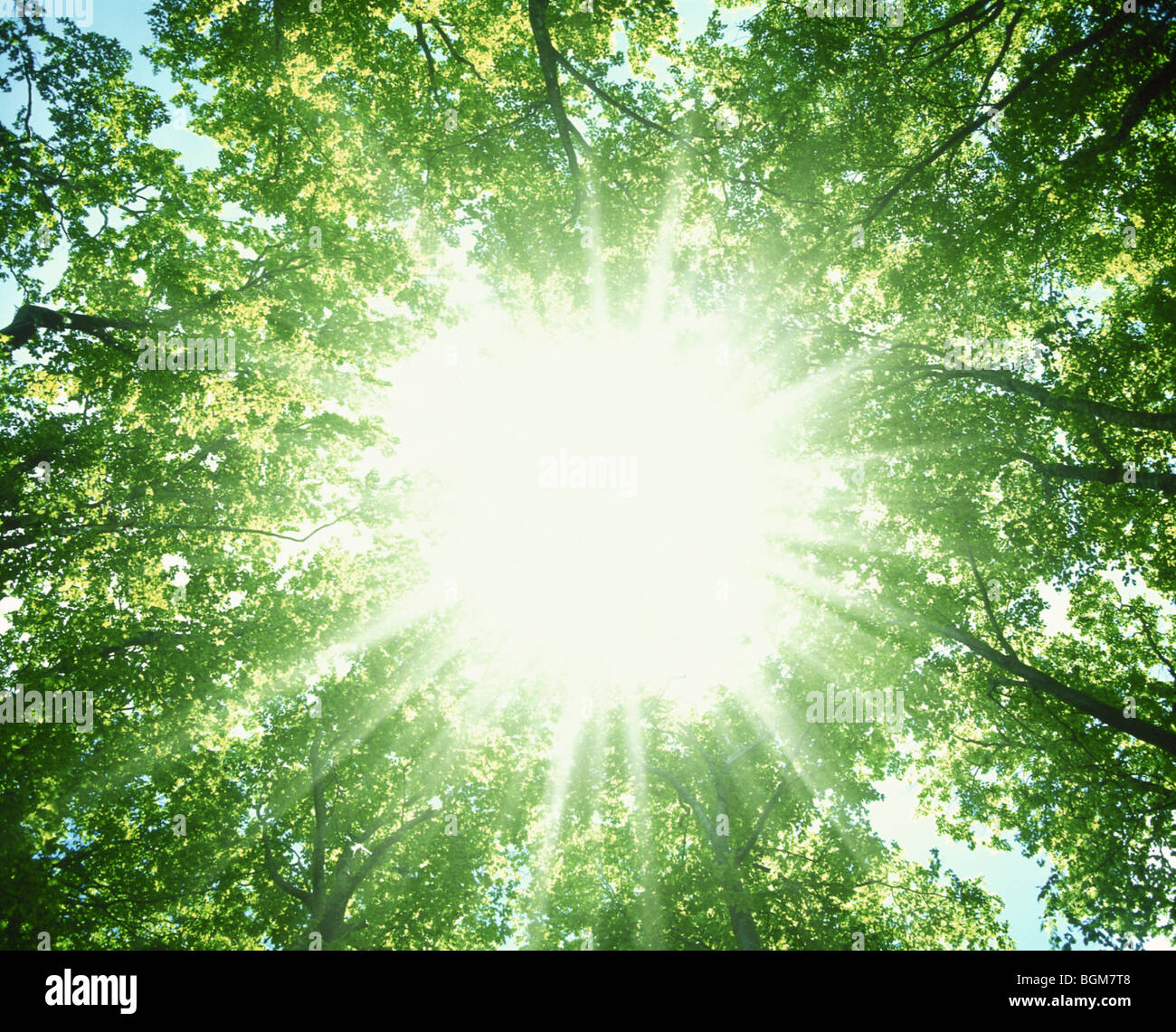 Солнце. Ослепительное солнце. Ослепительное солнце. Закат солнца. Солнце ослепительными потоками.