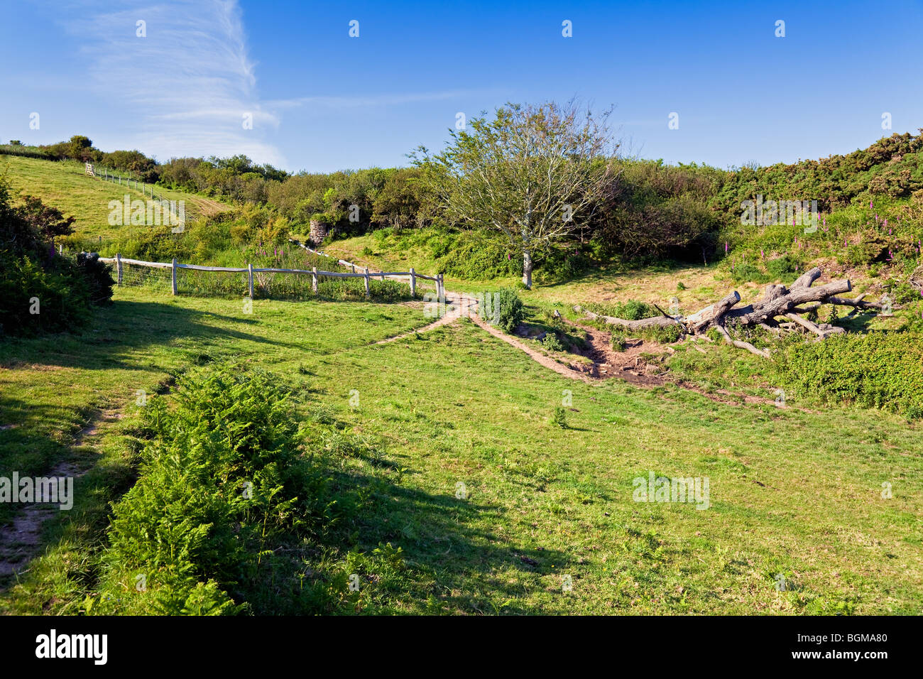 Coast Path and Farmland near Willow Cove, Dartmouth, South Hams, Devon