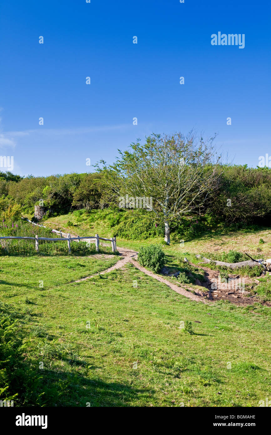 South West Coast Path and Farmland near Willow Cove, Dartmouth, South
