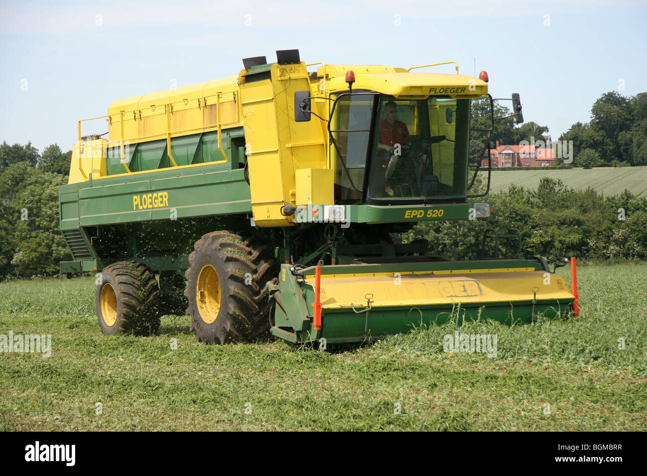 A Harvester Vining Peas Stock Photo - Alamy