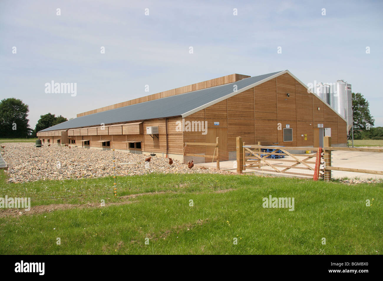 Barn used to house chickens for barn egg production Stock Photo