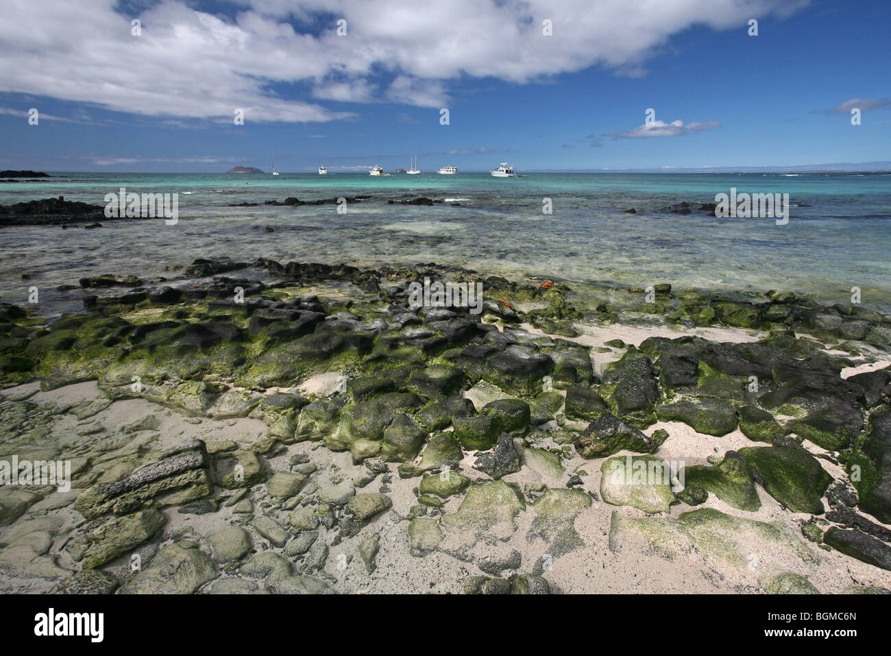 Motorboats and yachts in Las Bachas Bay on Santa Cruz island, Galápagos Islands, Ecuador, Latin America Stock Photo