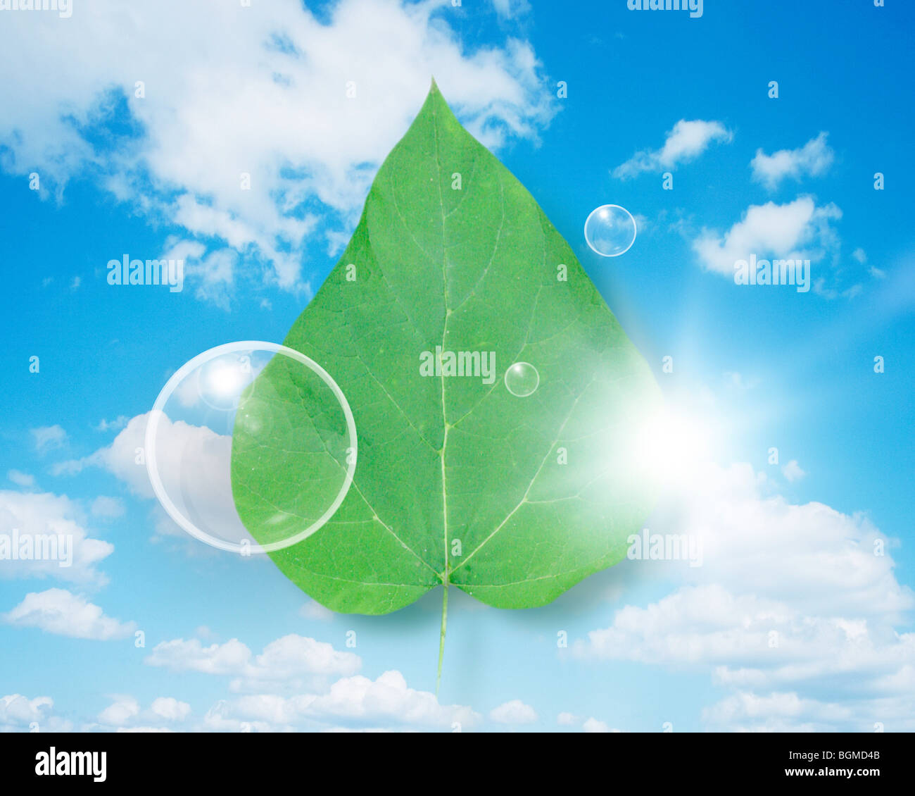 Green leaf in the sky with spheres Stock Photo - Alamy