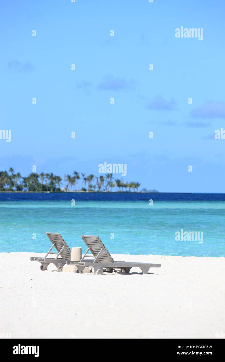 Palm tree two deck chairs hi-res stock photography and images - Alamy