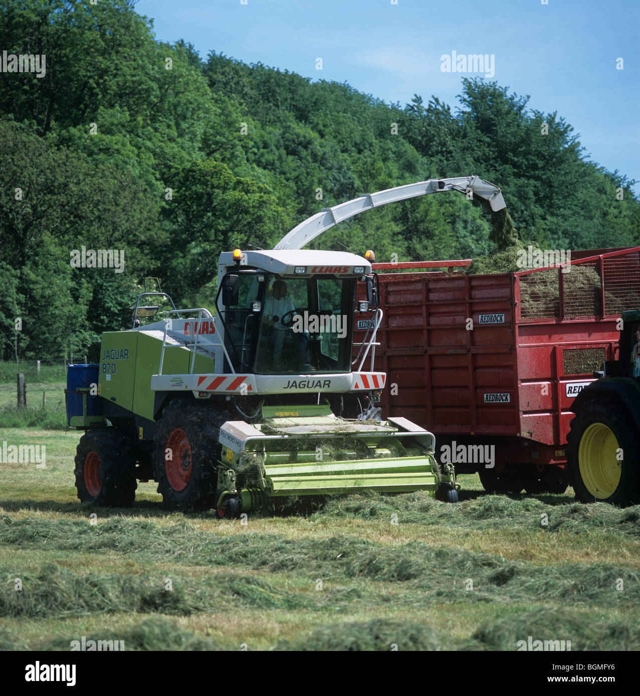 Claas Jaguar forager collecting cut grass and discharging to trailer Stock Photo