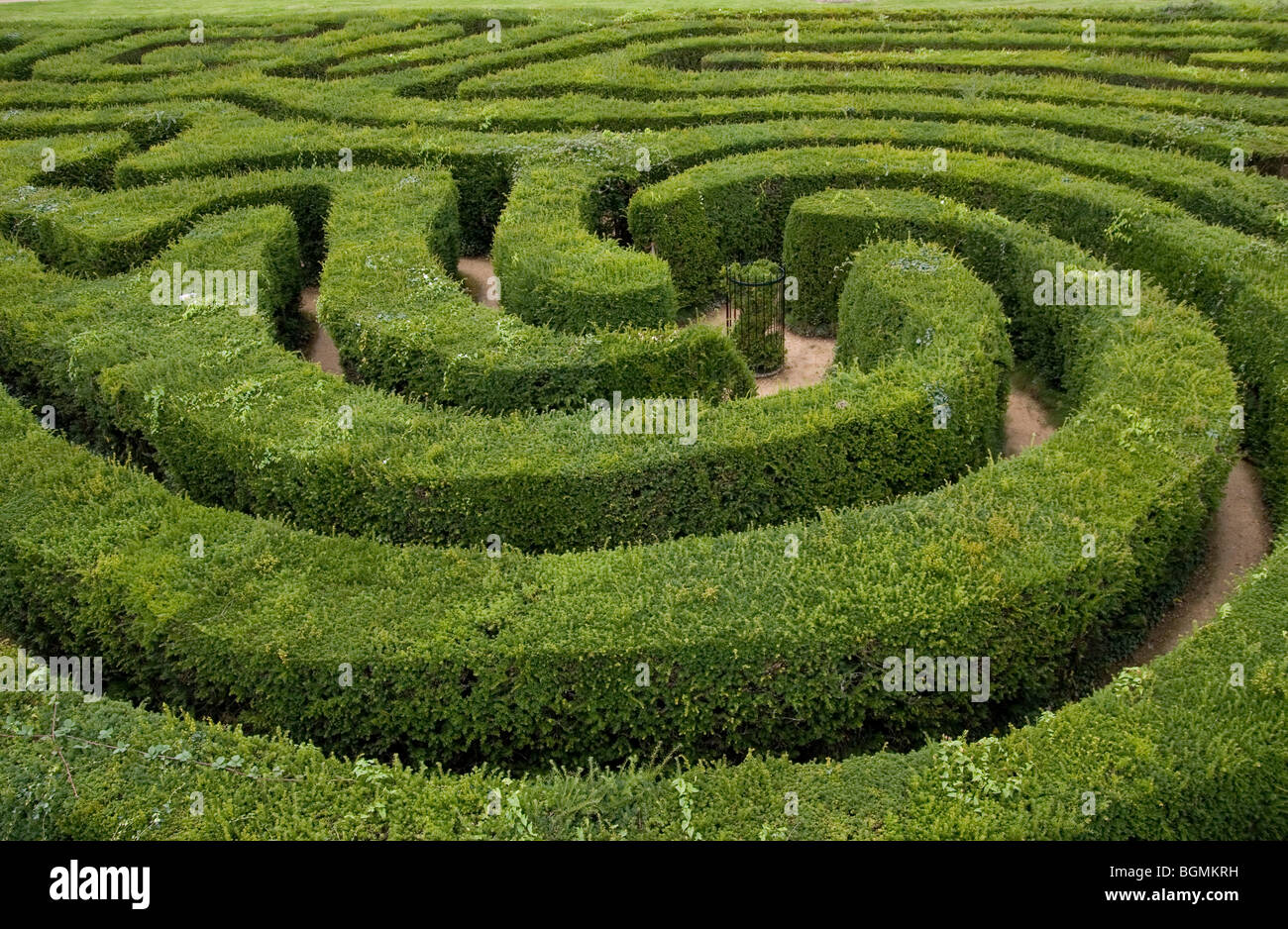 Labyrinth hedge Maze Stock Photo
