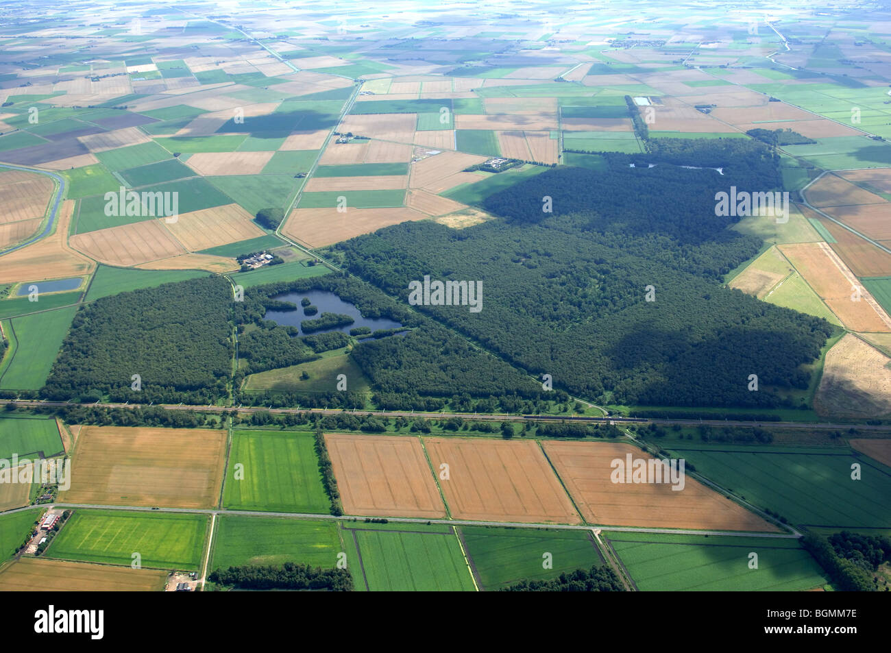 aerial view Holme Fen The Great Fen Project Stock Photo