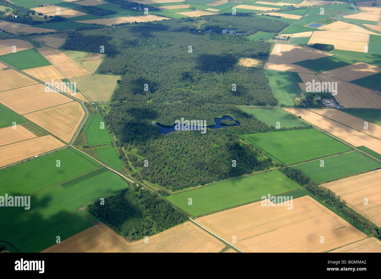 aerial view Holme Fen The Great Fen Project Stock Photo