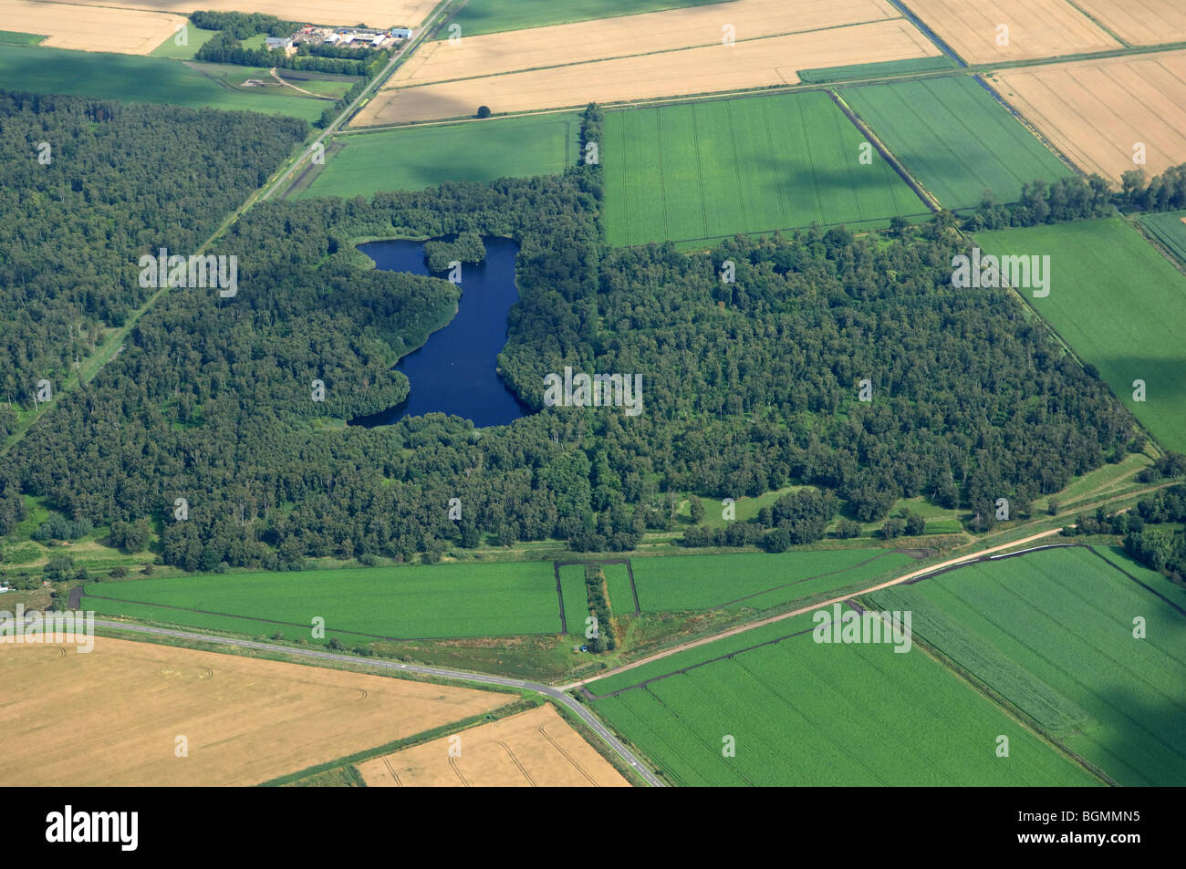 aerial view Holme Fen The Great Fen Project Stock Photo