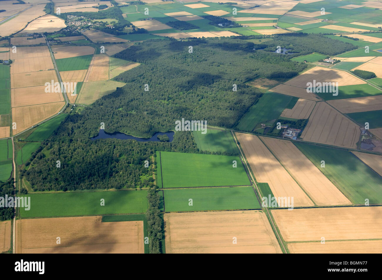 aerial view Holme Fen The Great Fen Project Stock Photo