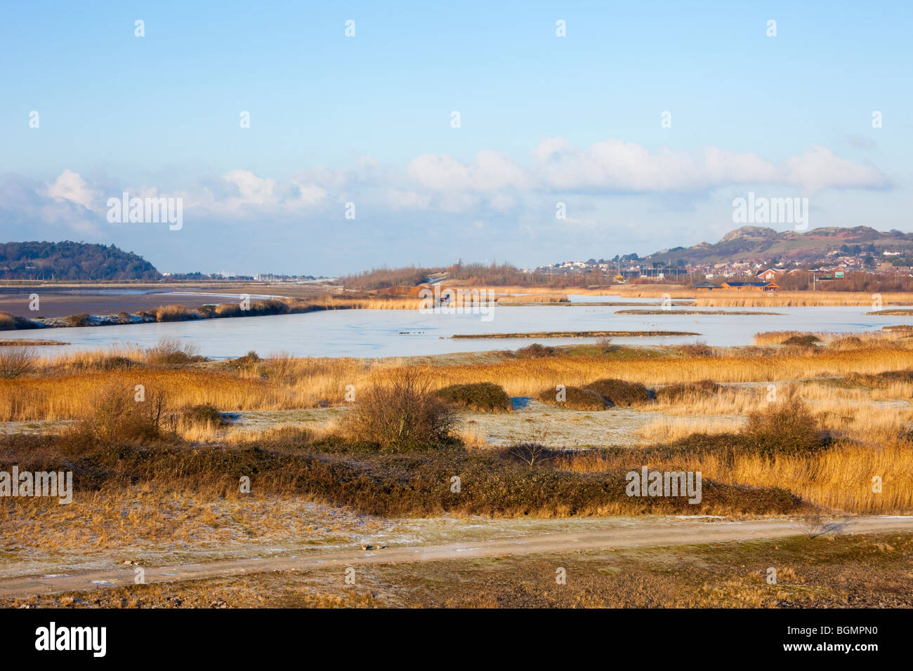 View across Conwy RSPB nature reserve coastal lagoons and grassland habitat. Llansanffraid Glan Conwy, Conwy, North Wales, UK, Britain. Stock Photo