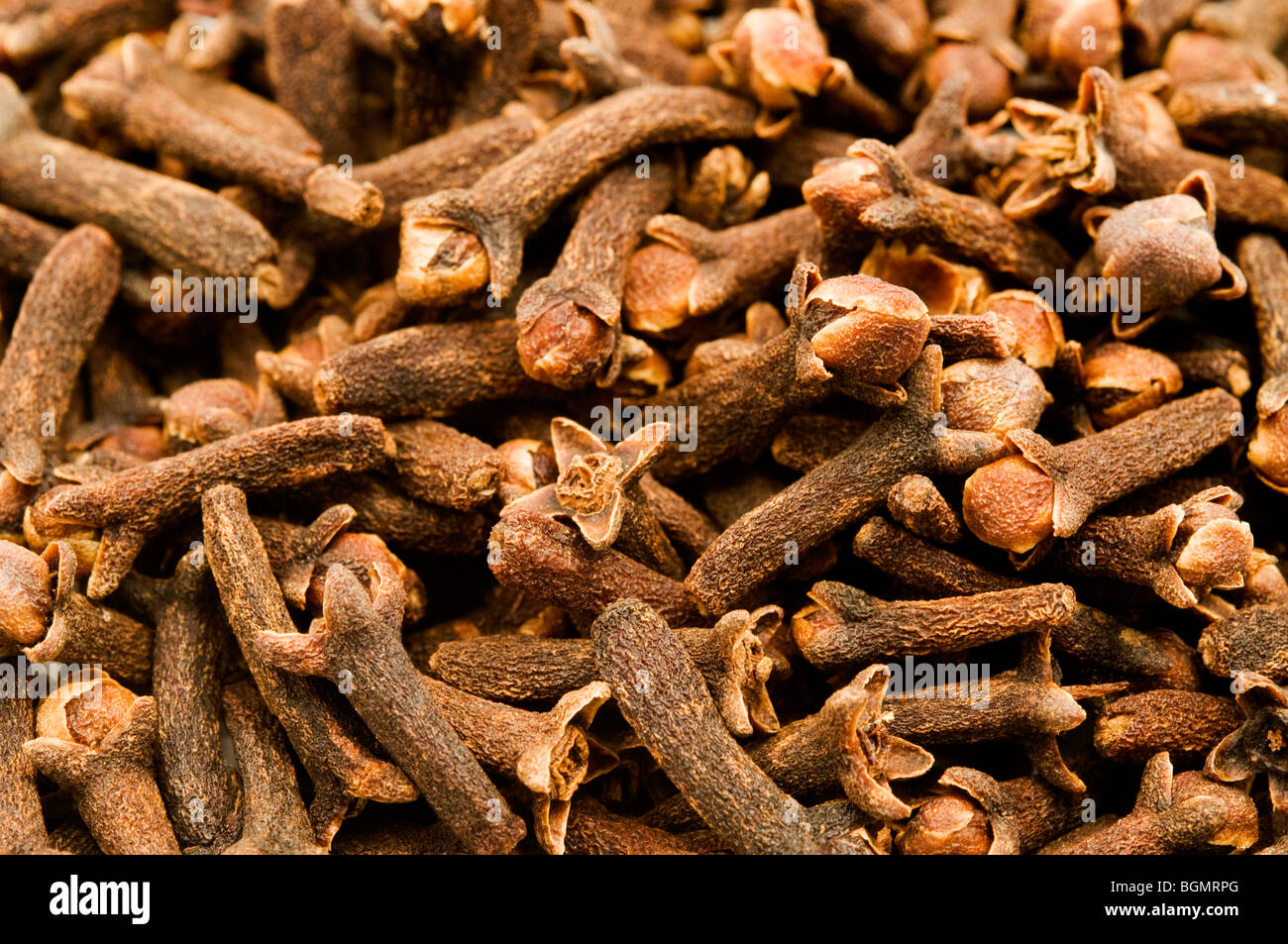 Dried cloves on a white background Stock Photo