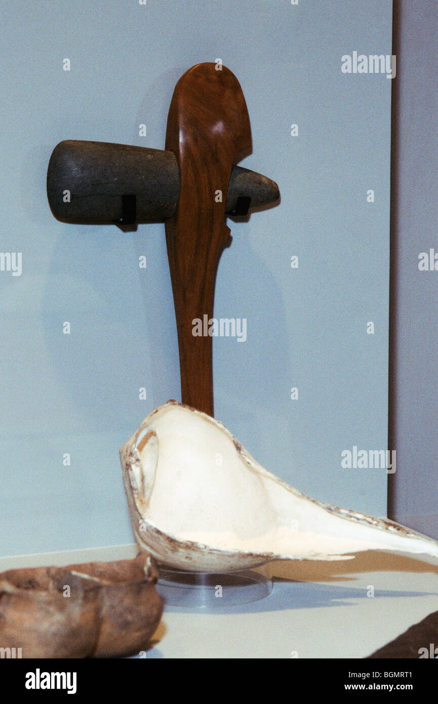 Etowah Indian Mounds State Historic museum display of a stone hammer