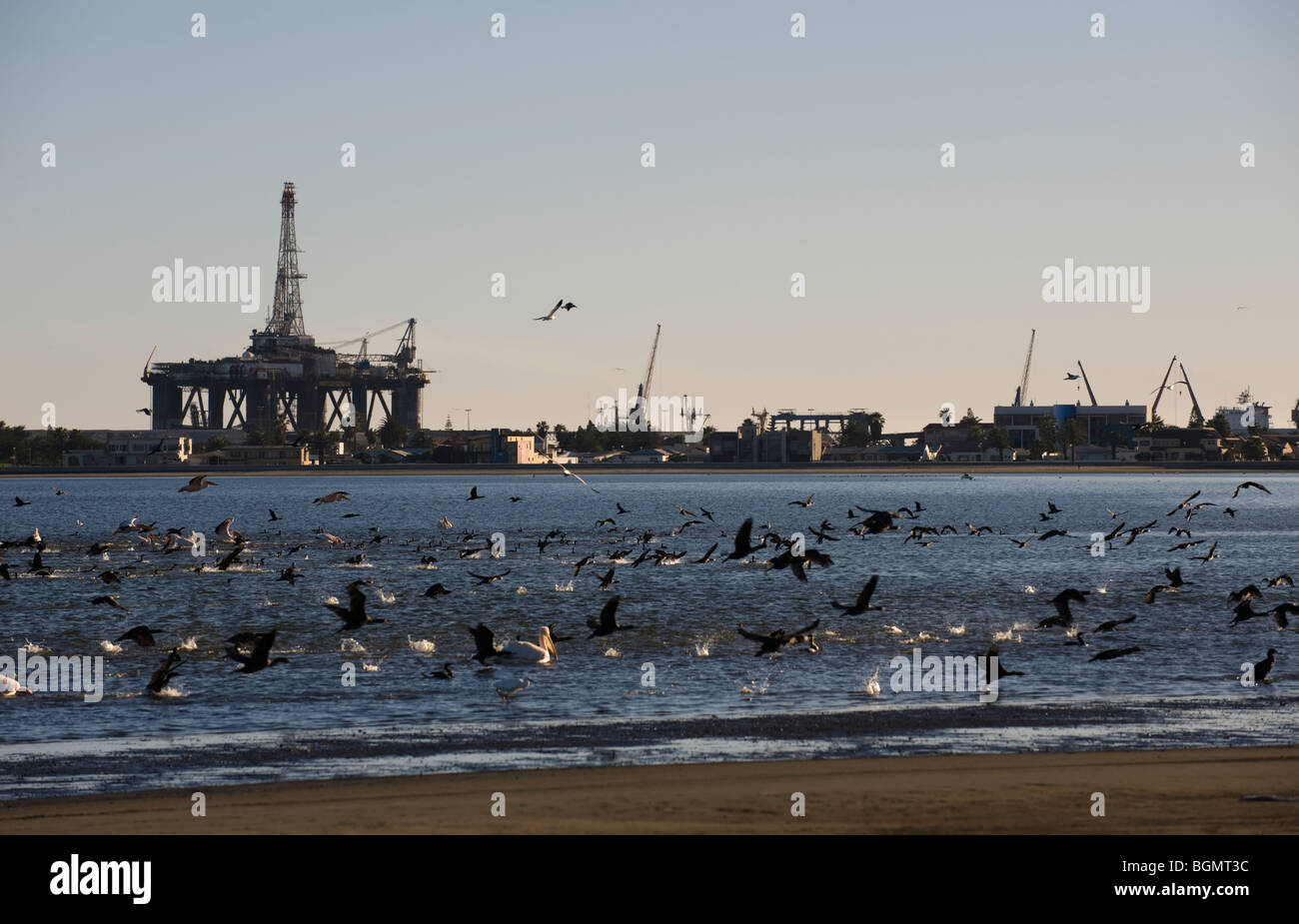 Oil rig in Walvis Bay with pelicans and flamingos in foreground ...