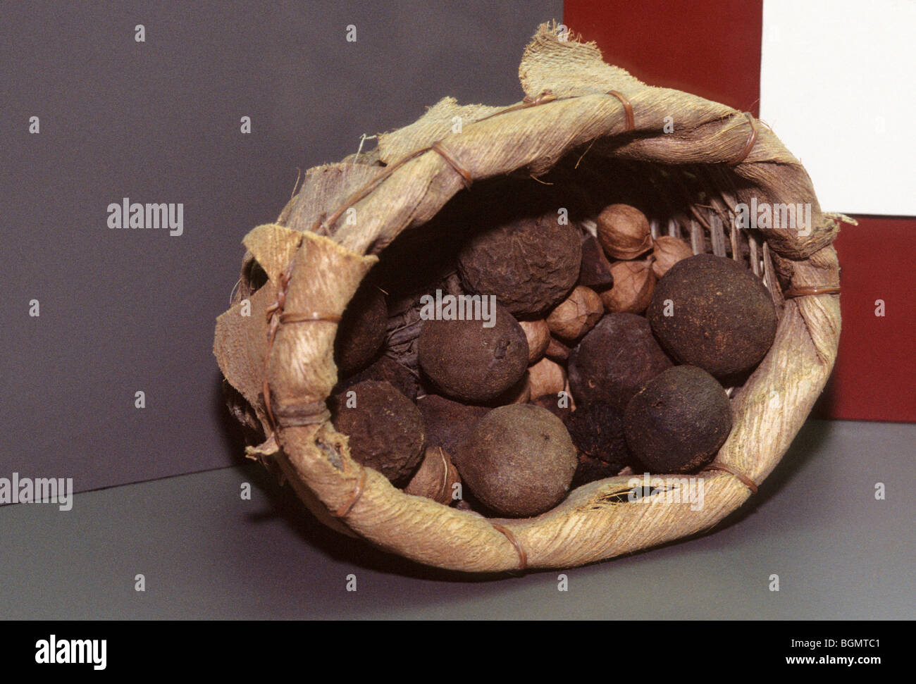 Mississippian Period gathering basket on display at the Etowah Indian Mounds State Historic Site museum, Cartersville Georgia Stock Photo