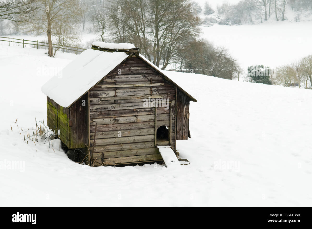 Chicken shed winter uk hires stock photography and images Alamy