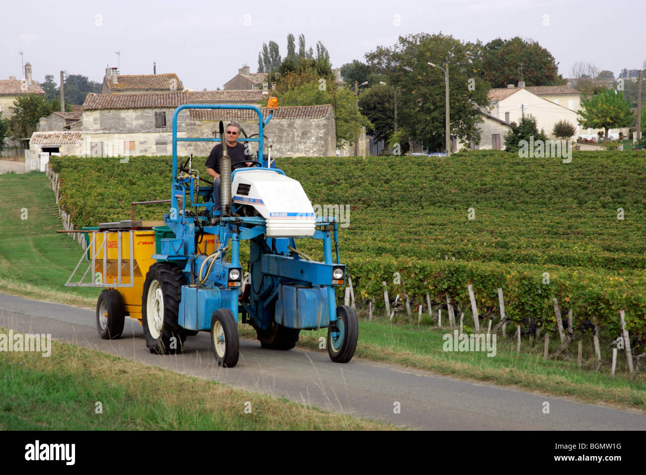 Tractor grape picker Ripe wine grapes in vineyard Bordeaux vineyard town St Emilion Aquitaine France Stock Photo