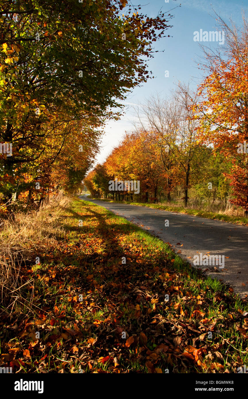 Autumn Colours Stock Photo