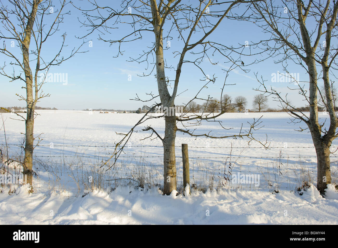 Snow landscape scenic field winter Christmas Stock Photo