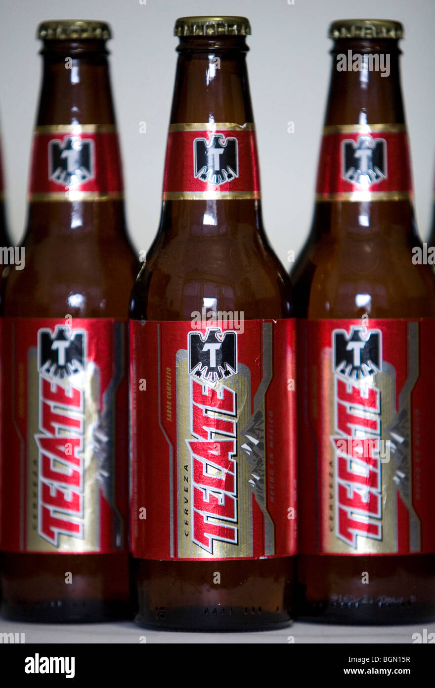 Tecate beer bottles.  Stock Photo