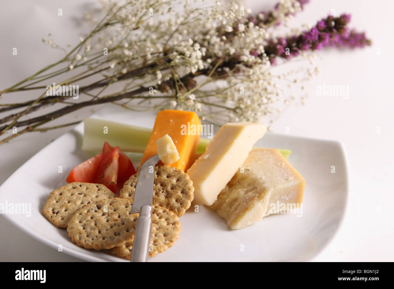 Selection of cheese and biscuits  on a plate Stock Photo