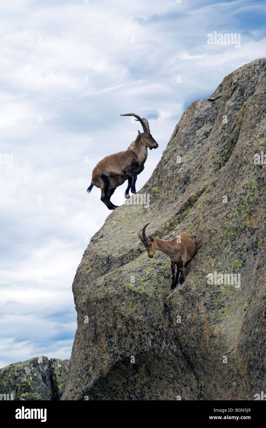 Sierra rock climbing hi-res stock photography and images - Alamy