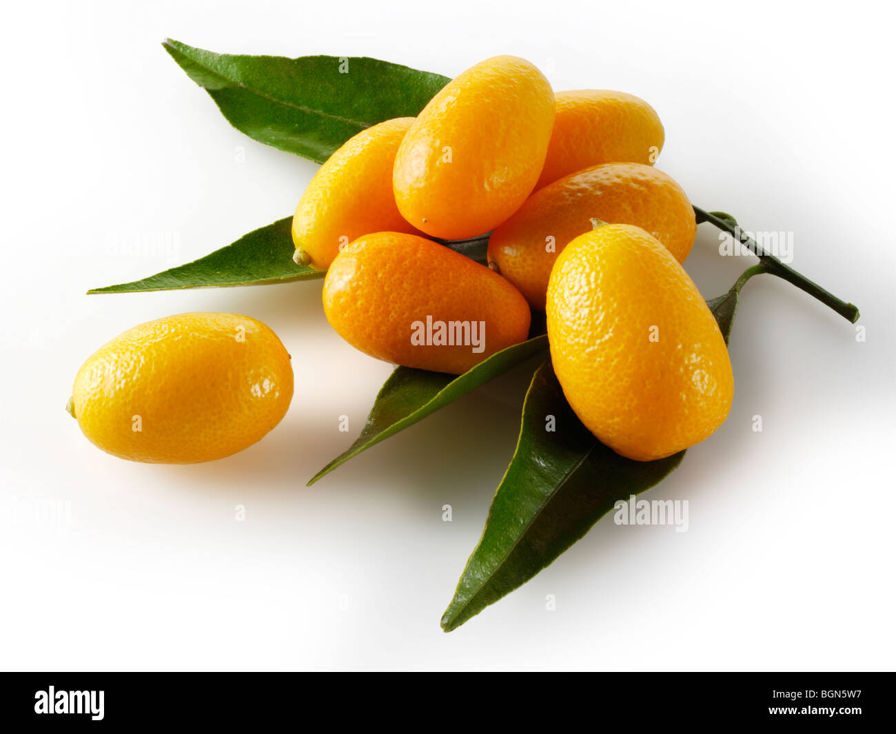 Fresh whole Kumquat fruits Stock Photo Alamy