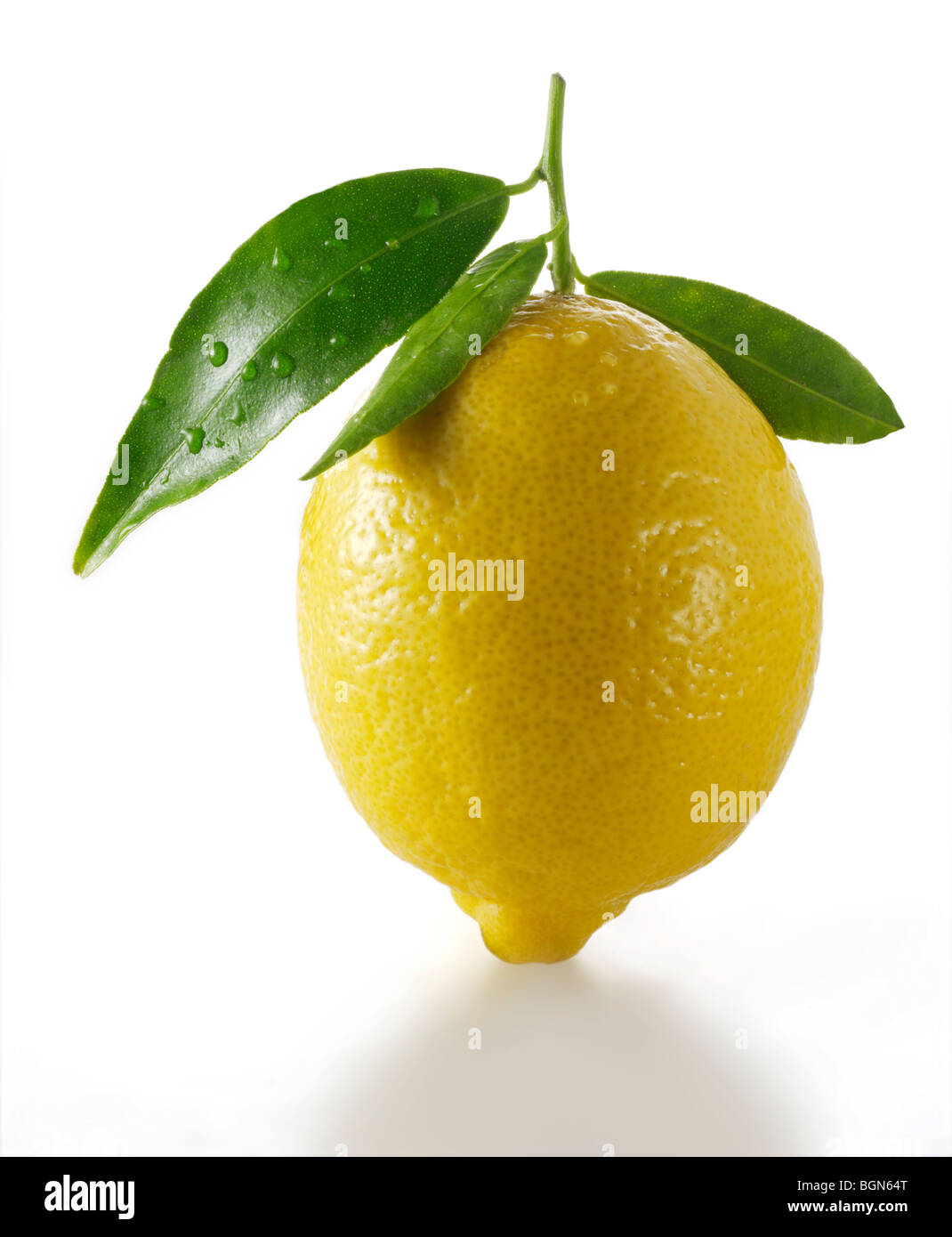 Fresh whole lemons with leaves against white background Stock Photo