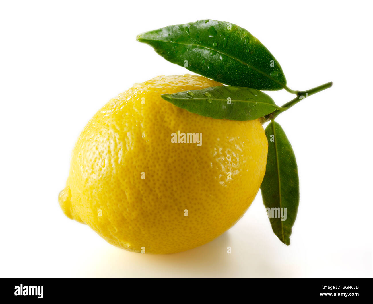 Fresh whole lemons with leaves against white background Stock Photo