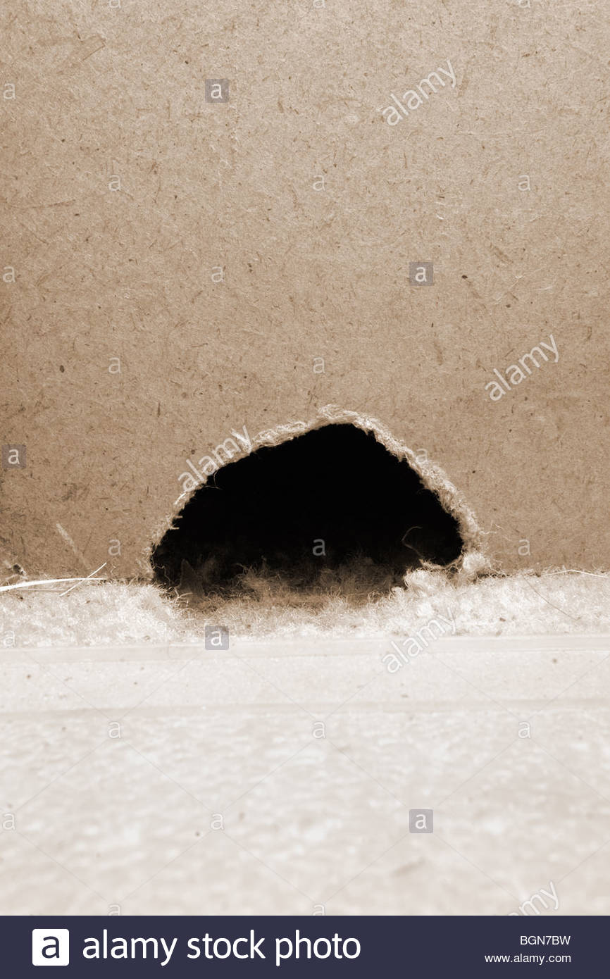 Mouse Hole Stock Photos & Mouse Hole Stock Images Alamy