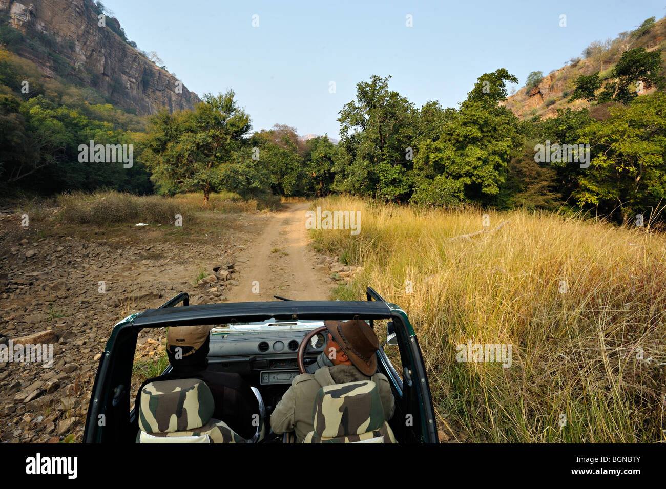A four wheel drive car in the jungles of Ranthambhore national park Stock Photo