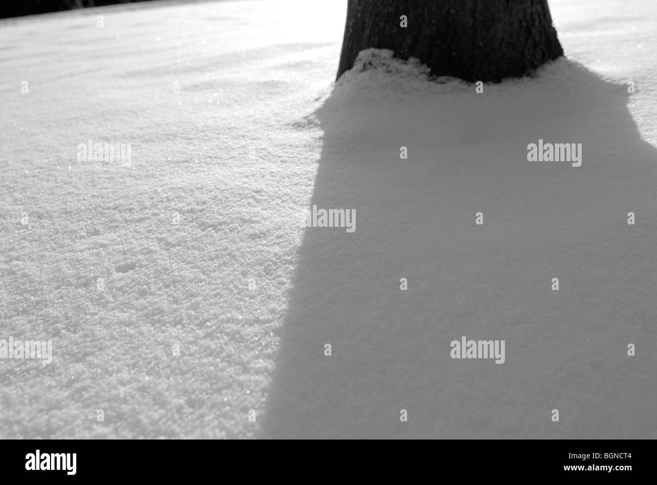 Snow background Black and White Stock