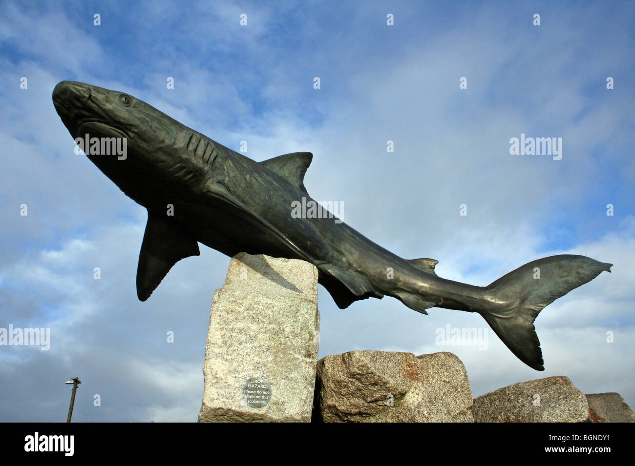 Shark Sculpture Outside The Deep Aquarium in Hull, East Riding Of Yorkshire, UK Stock Photo