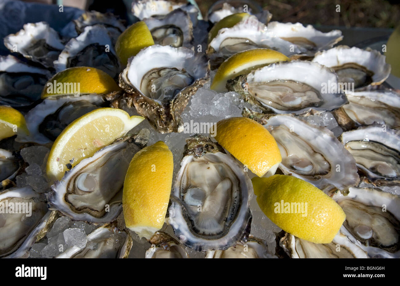 A dish of prepared oysters Stock Photo