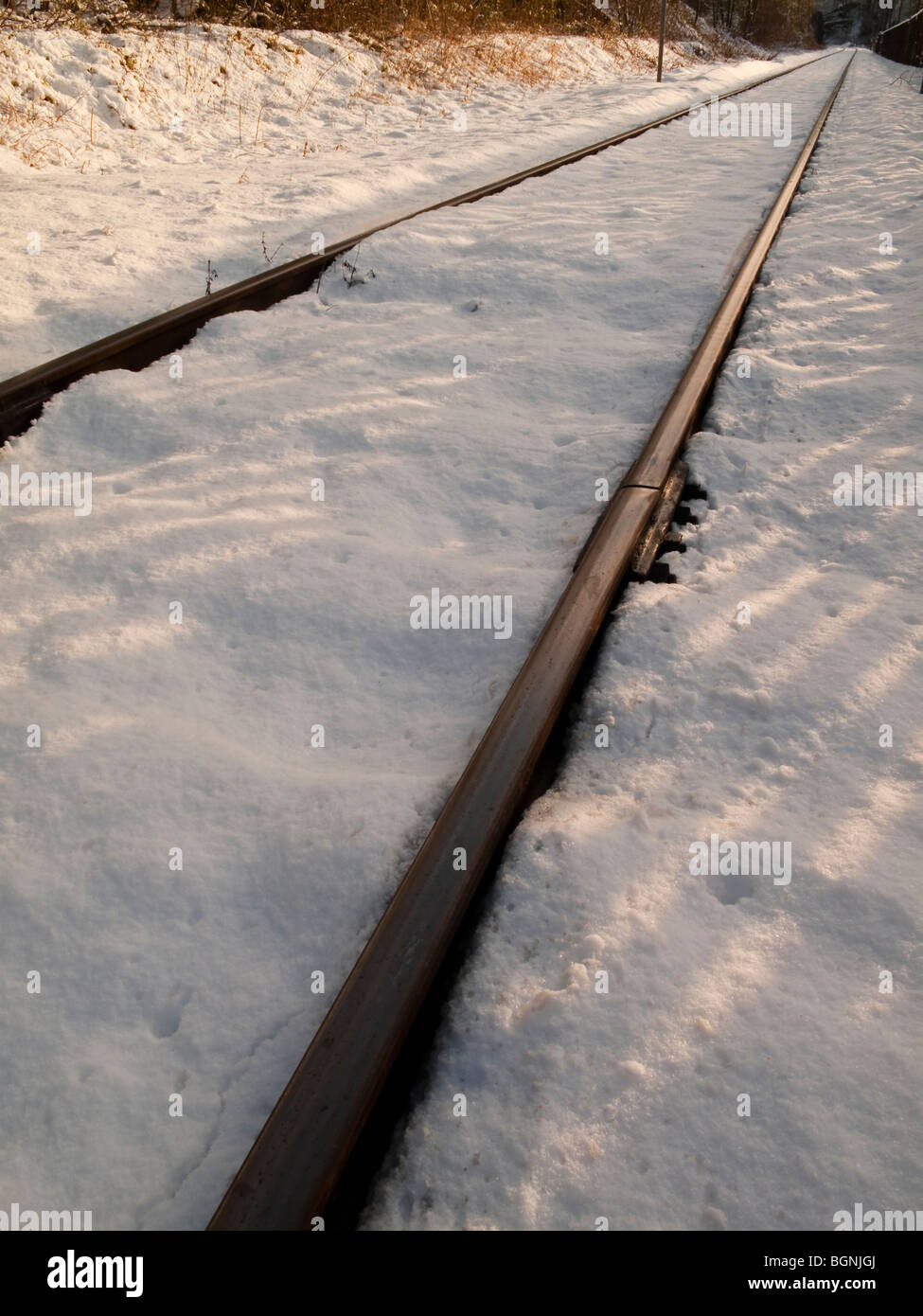 Single track railway line covered in snow with the rails visible Stock Photo