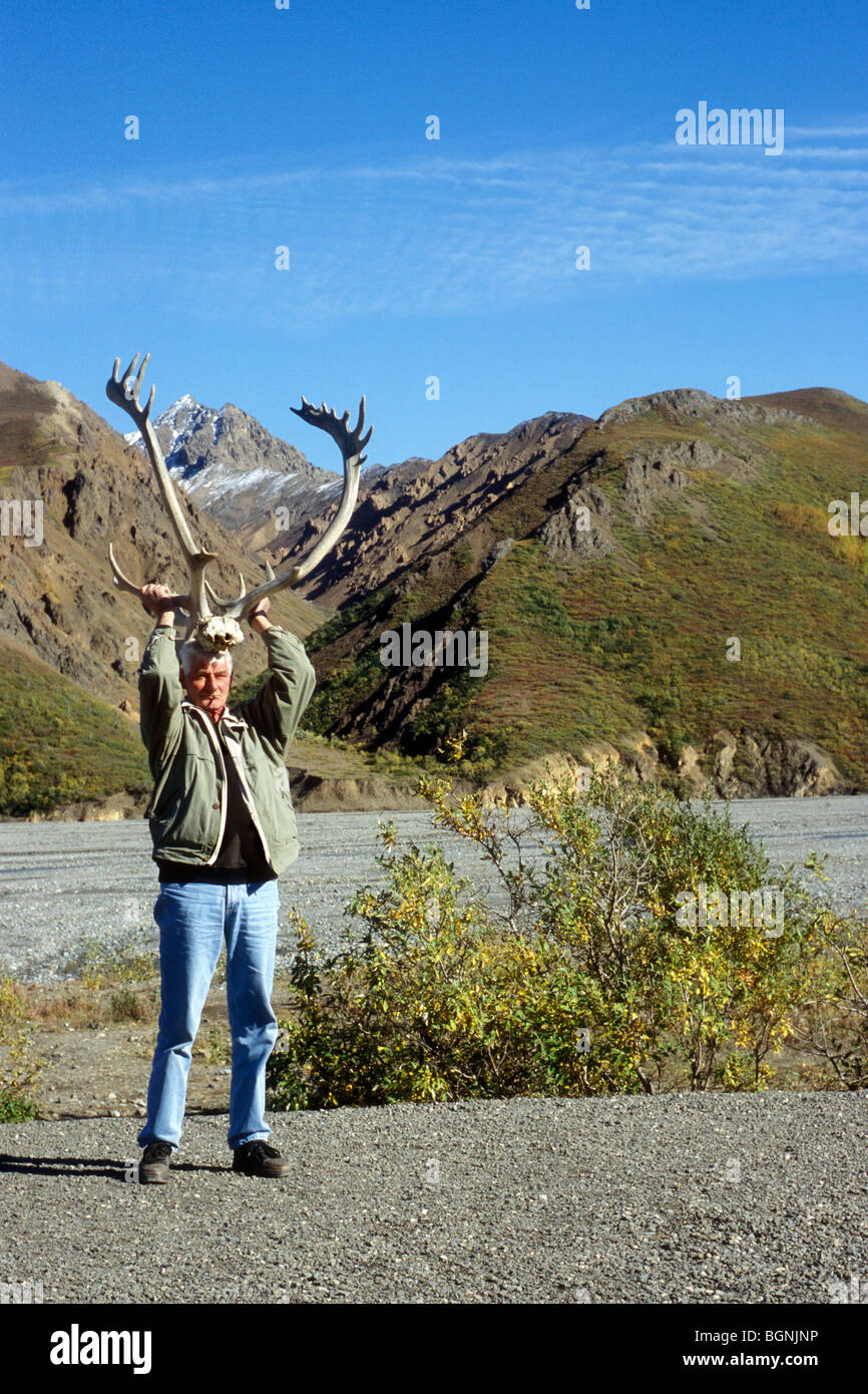Tourist holding caribou antlers (Rangifer tarandus) above head, Denali National Park, Alaska, USA Stock Photo