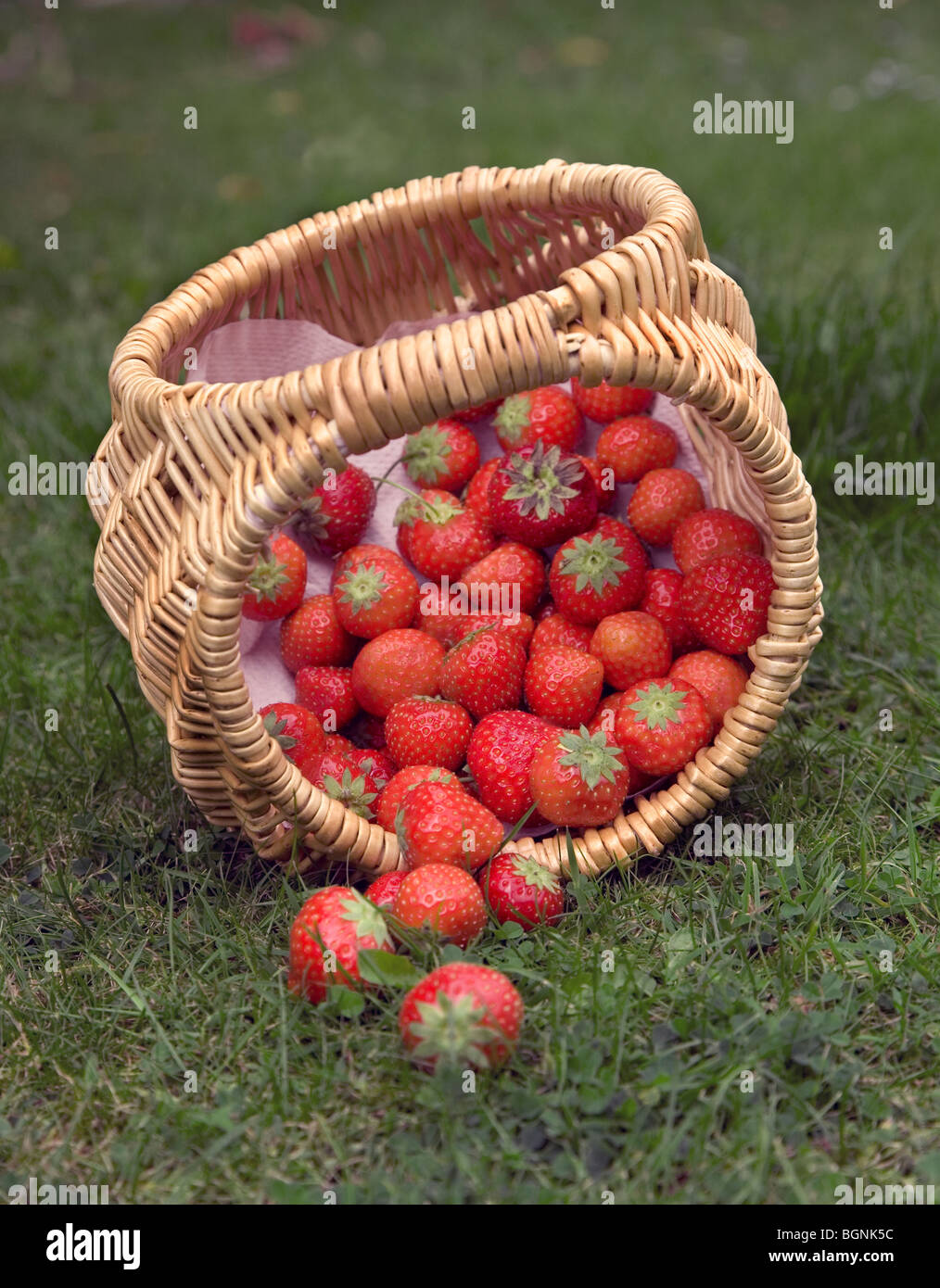 Basket of Strawberries Stock Photo Alamy