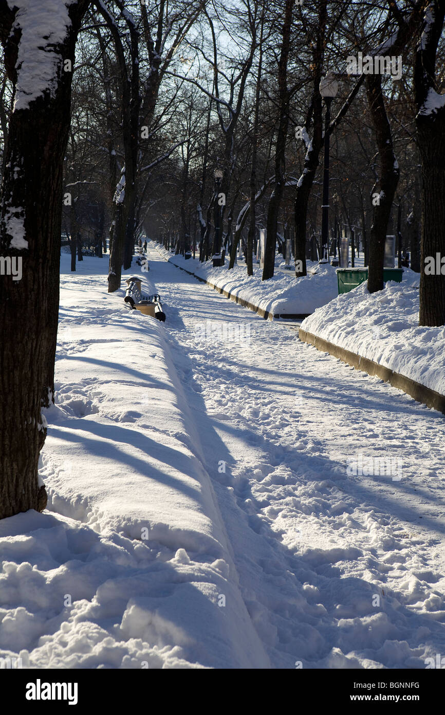 Two benches covered with snow. Tverskoy boulevard. Moscow. Russia Stock Photo