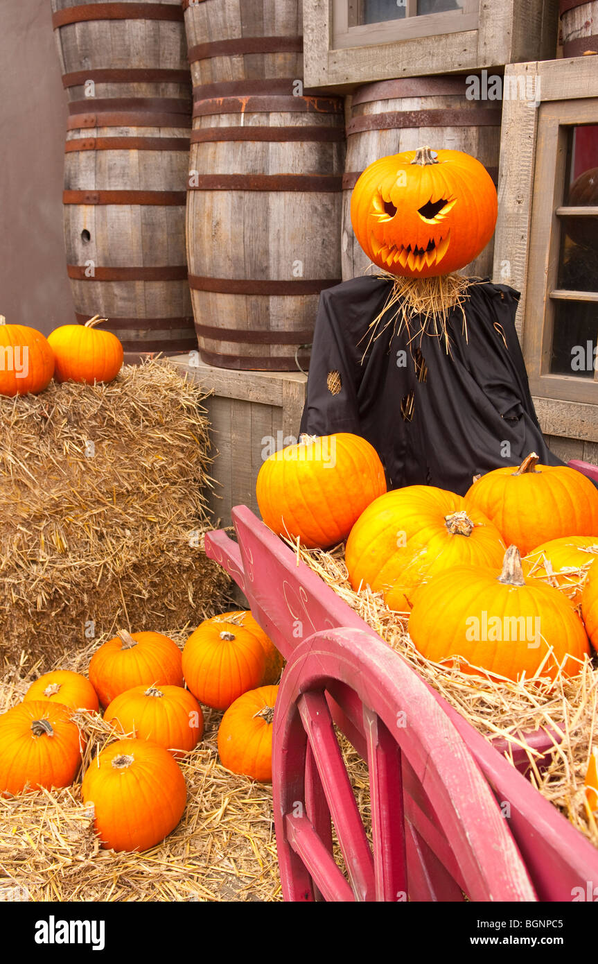 Uk halloween park hires stock photography and images Alamy