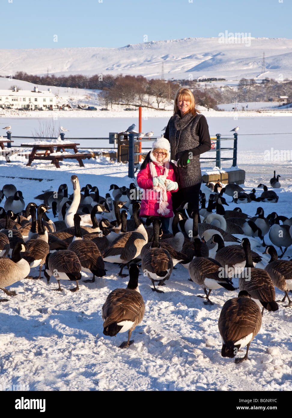 Mother and daughter with geese at Hollingworth Lake, Littleborough, Rochdale, Greater Manchester, UK Stock Photo