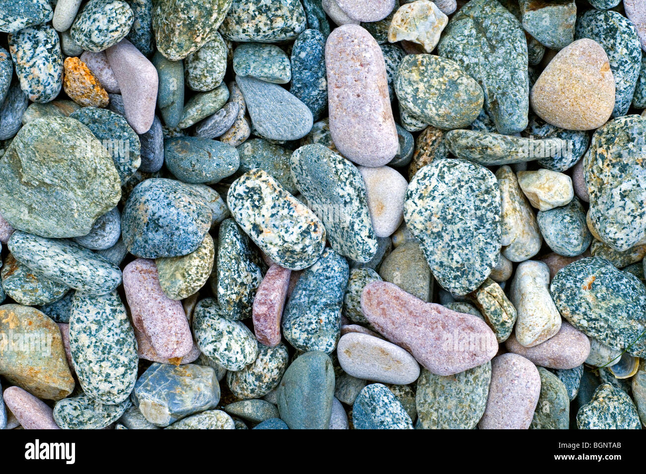Colourful water smoothed pebbles at shingle beach Stock Photo