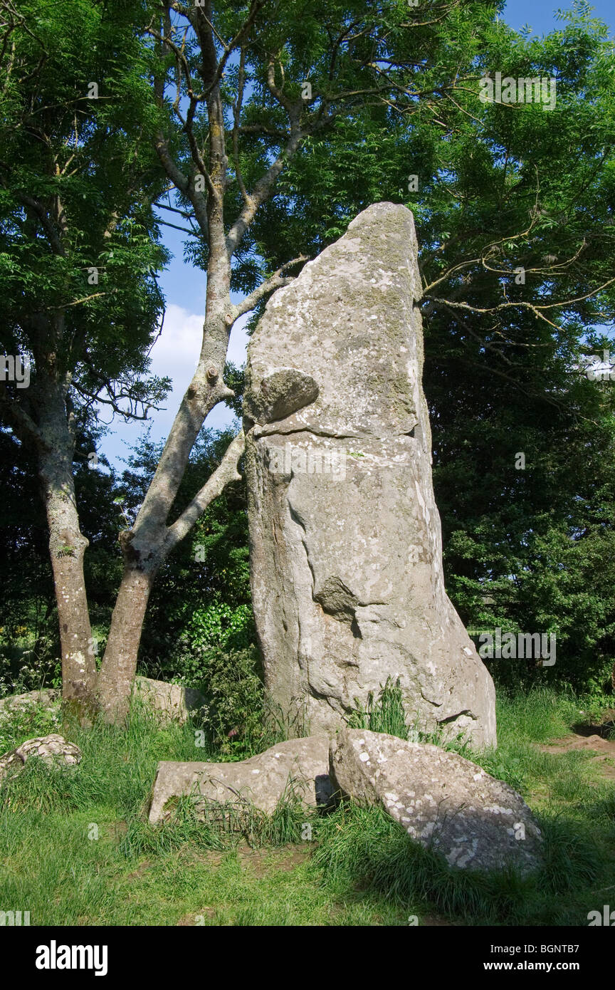Kerzerho Alignments Neolithic Menhir Standing Stone At Erdeven kerzerho-alignments-neolithic-menhir-standing-stone-at-erdeven