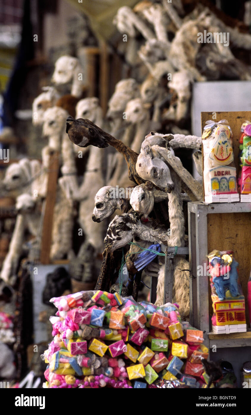 Llama fetuses, used for sacred rituals for sale at Witches Market. La Paz, Bolivia. Stock Photo